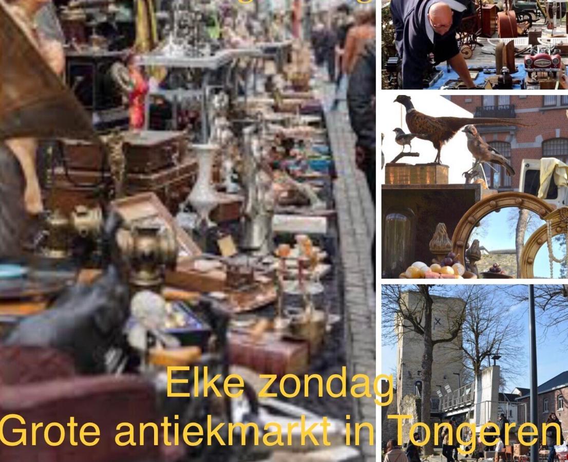 Vakantiehuisje Vds Tongeren Exteriör bild